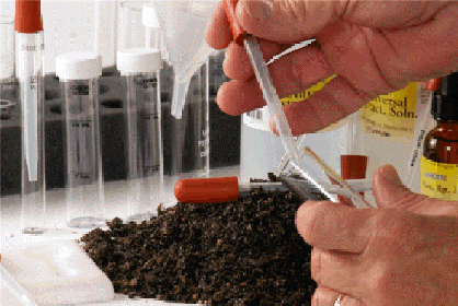 Soil analysis 